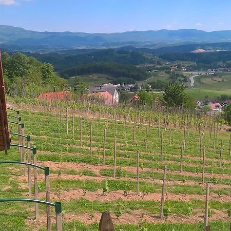 Vineyard Cottage Lustek โนโวเมสโต ภายนอก รูปภาพ