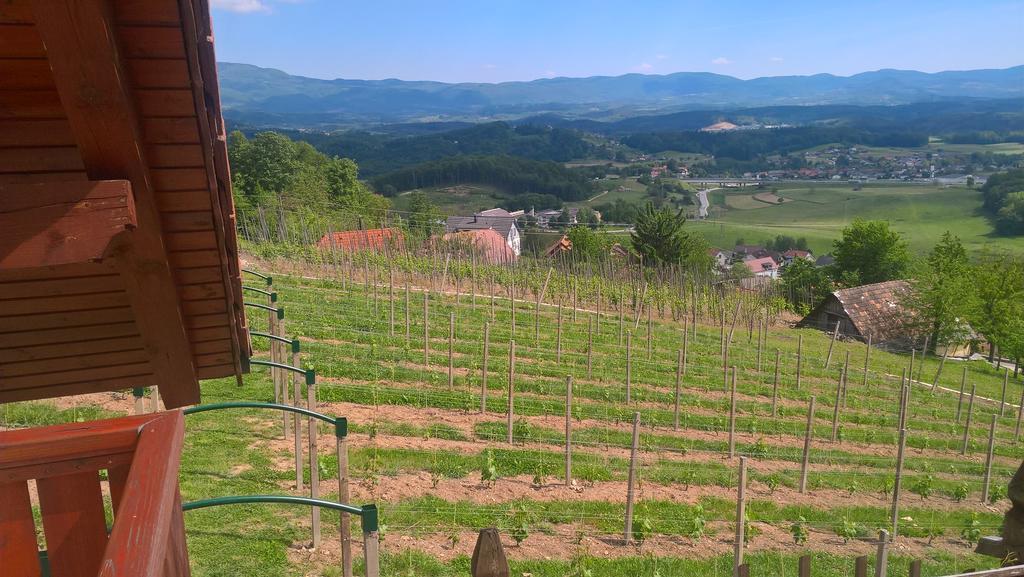 Vineyard Cottage Lustek โนโวเมสโต ภายนอก รูปภาพ